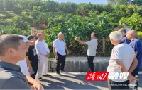 银发聚力穿越雪峰山 向家取经走进大湘西——隆回向家村老科协赴湘西考察学习走笔