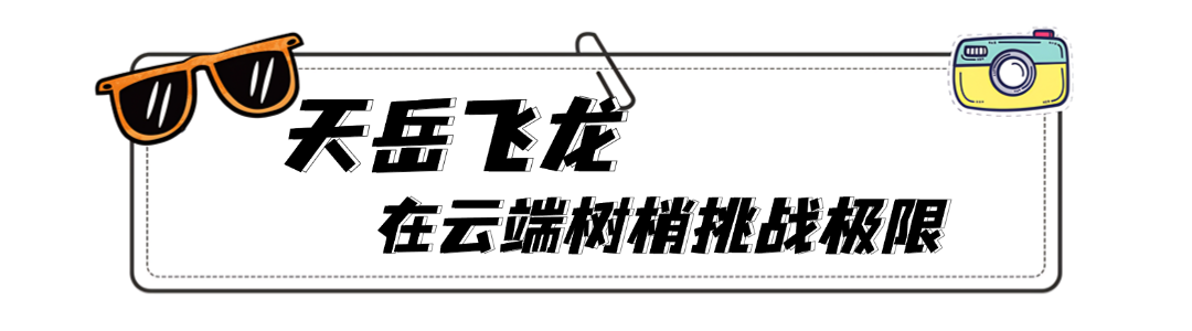 政务新闻精神党政融媒体文章标题 (19).png