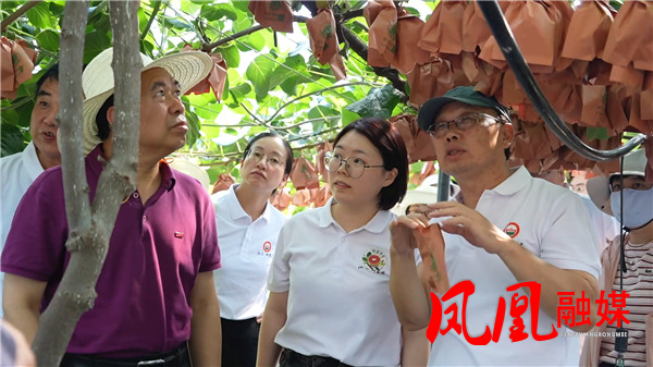 凤凰：“农业+N”融合发展模式 奏响乡村[00_10_46][20250714-104909].jpg
