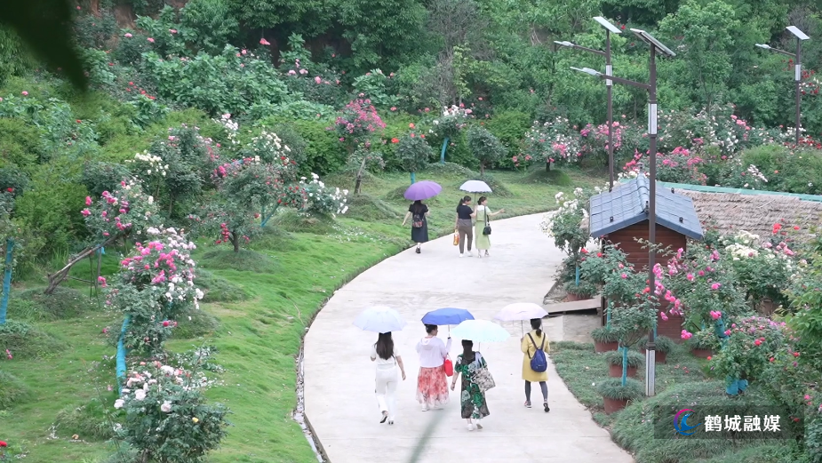 怀化市鹤城区：夏日“凉”资源变“热”经济 乡村旅游持续升温（半成品）.mp4_20250714_162752.454.jpg