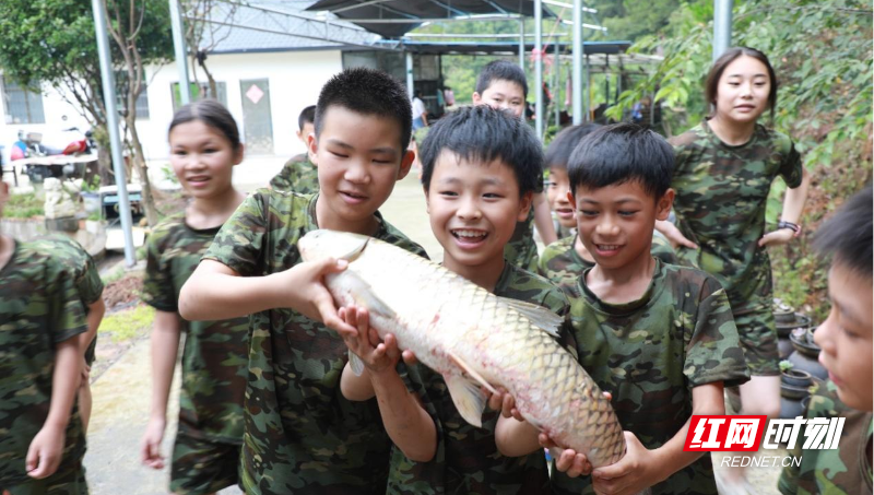中南大学三下乡2.png