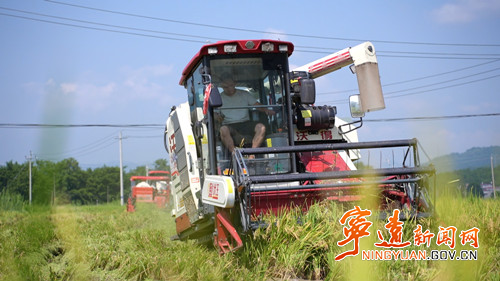 宁远：农机轰鸣丰收景 17.3万亩早稻陆续归仓_副本500.jpg