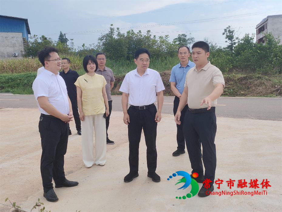 书记兰江调研1.jpg