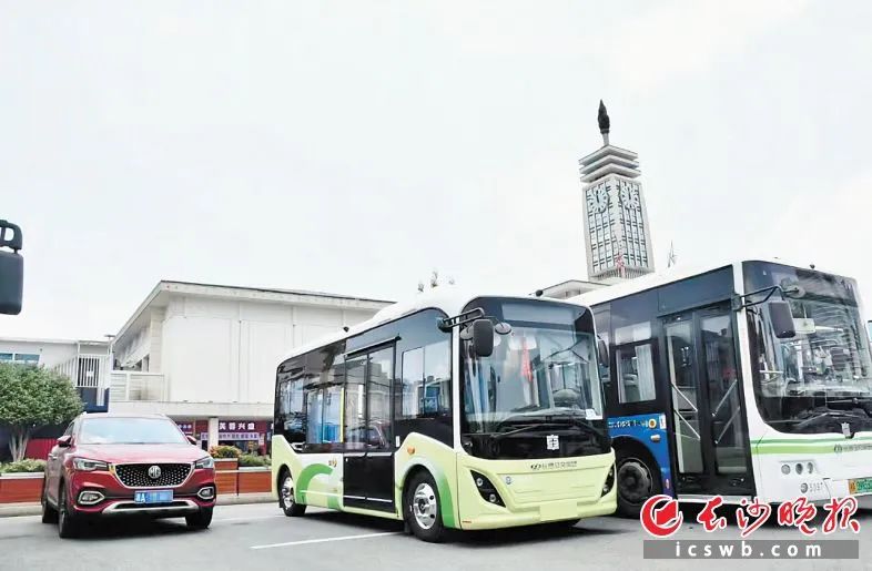 此次上线的6米纯电动公交车（中），具备机动性强、适应性广的优势，既能穿梭于窄巷社区，又可服务城市主干道及旅游线路。网友供图