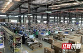 永企当家人丨湖南友络电子有限公司张素兵：三年破亿的奋进之路