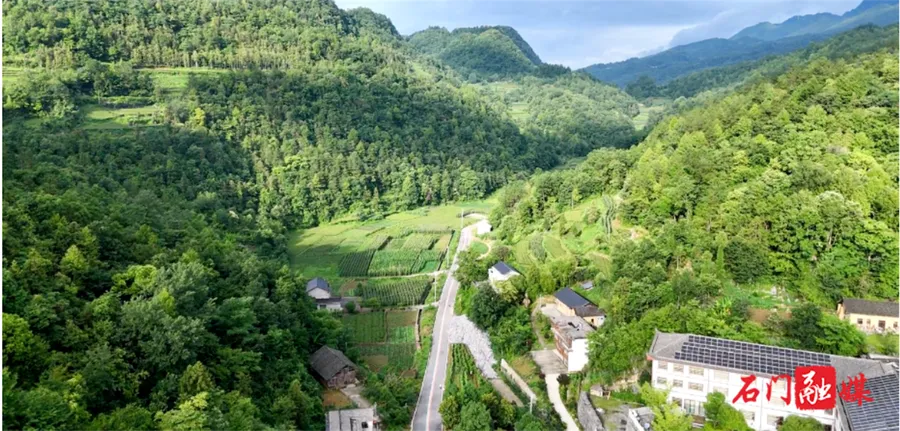 石门优秀驻村第一书记范文：扎根山乡绘新景