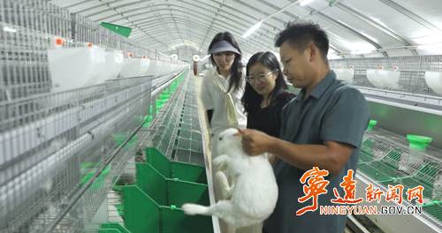 宁远：“兔经济”激活产业富民新动能2_副本500.png