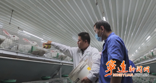 宁远：“兔经济”激活产业富民新动能3_副本500.png