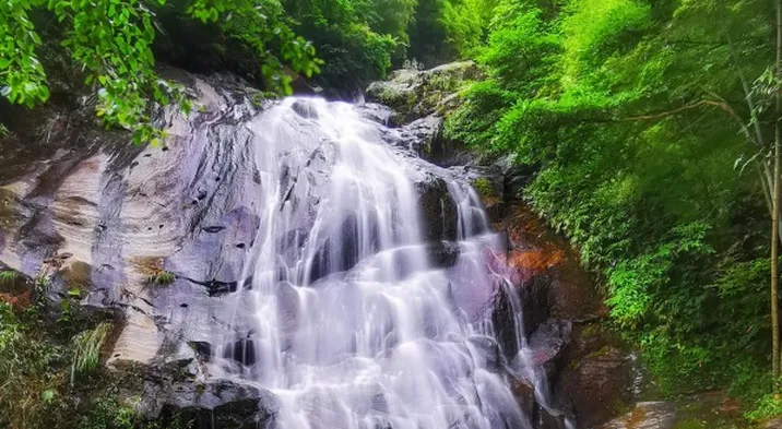 来“茶寿仙境”新化奉嘎山，享受“自然空调”的快乐