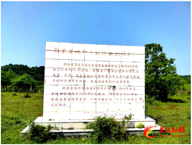 微信图片_20250716174245.png