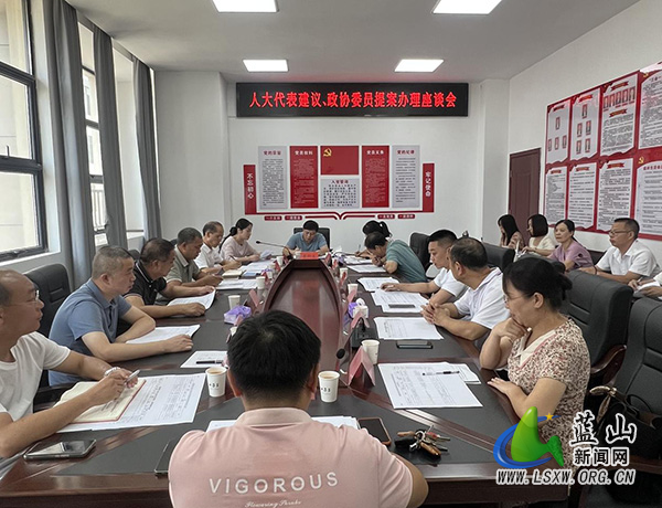 蓝山县发展和改革局召开人大代表建议和政协委员提案办理工作座谈会.jpg