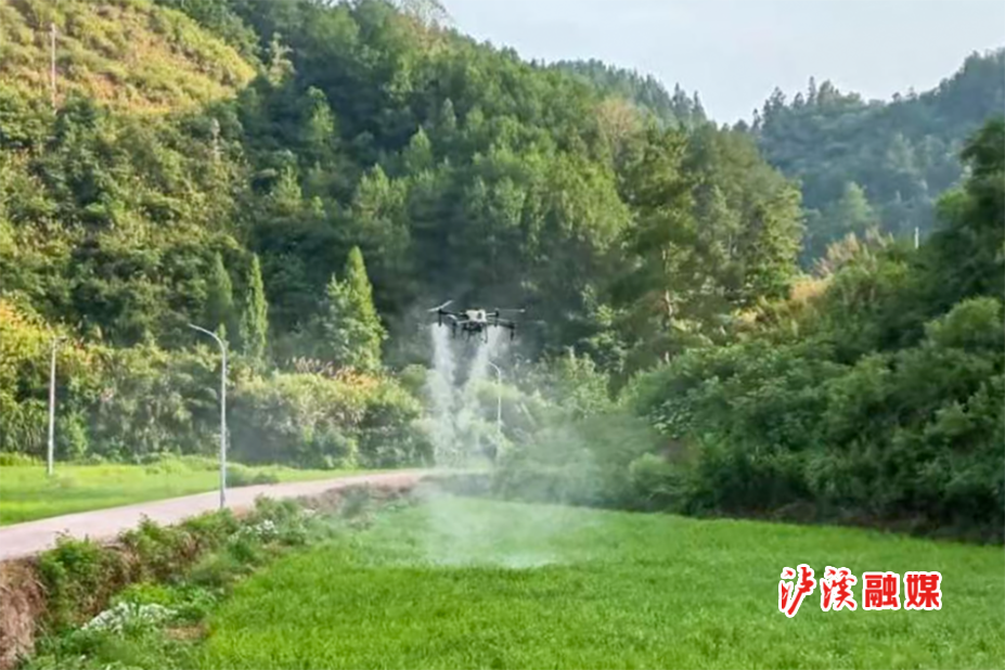 图片5.png 图片5.png
