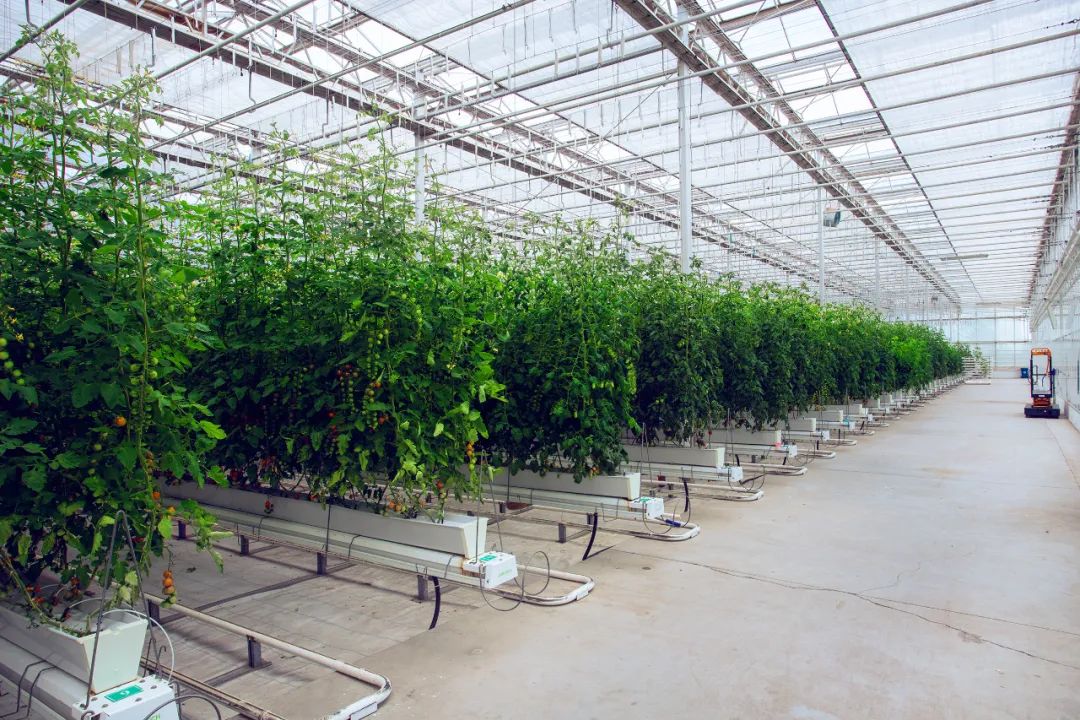 重要的中国研究之旅丨当您到达“工厂工厂”时