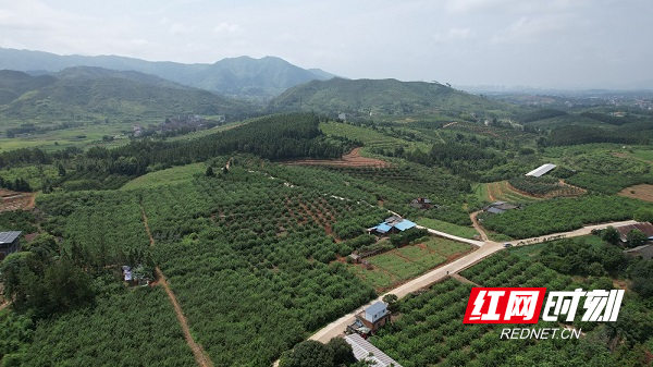DJI_0478 - 副本.JPG