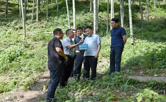 蒋强先赴双牌县粗石江村调研乡村振兴工作