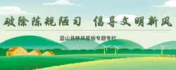 蓝山县移风易俗专题专栏