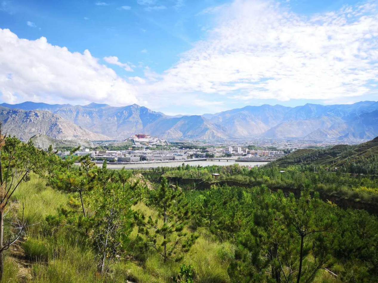 60年的光荣吸引力-New藏人丨绿色高原：西藏通过