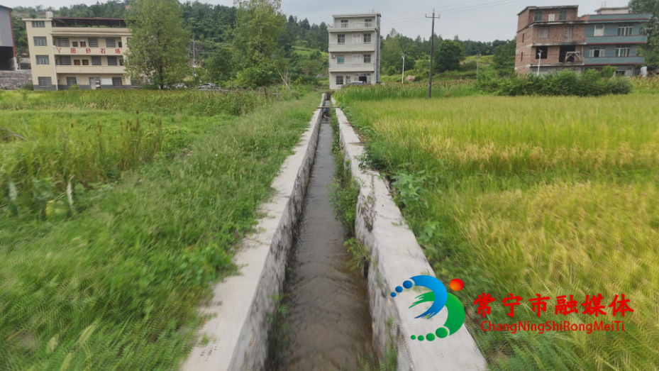 水渠通水 (14).jpg
