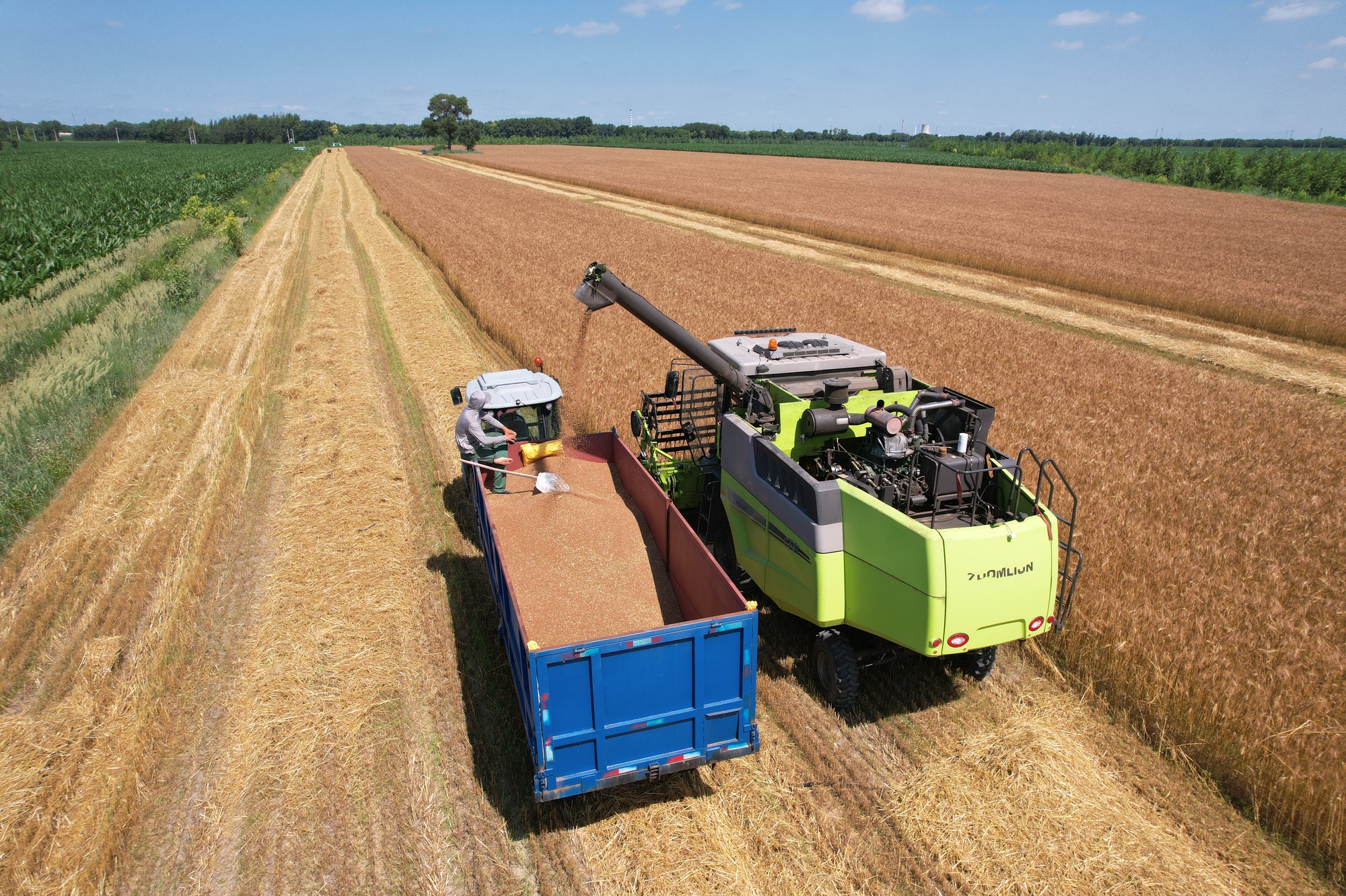 中国高质量发展的看法