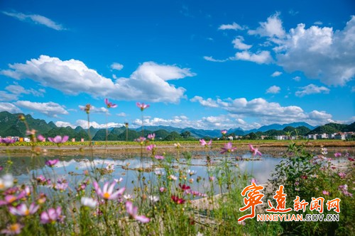 寧遠：九嶷山生態美 攝影賽奪四獎_副本500.jpg