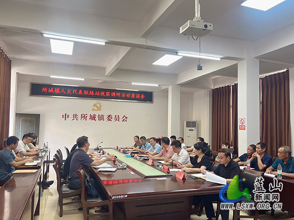 曹晓春率队到所城镇开展燃气专项视察调研活动.jpg