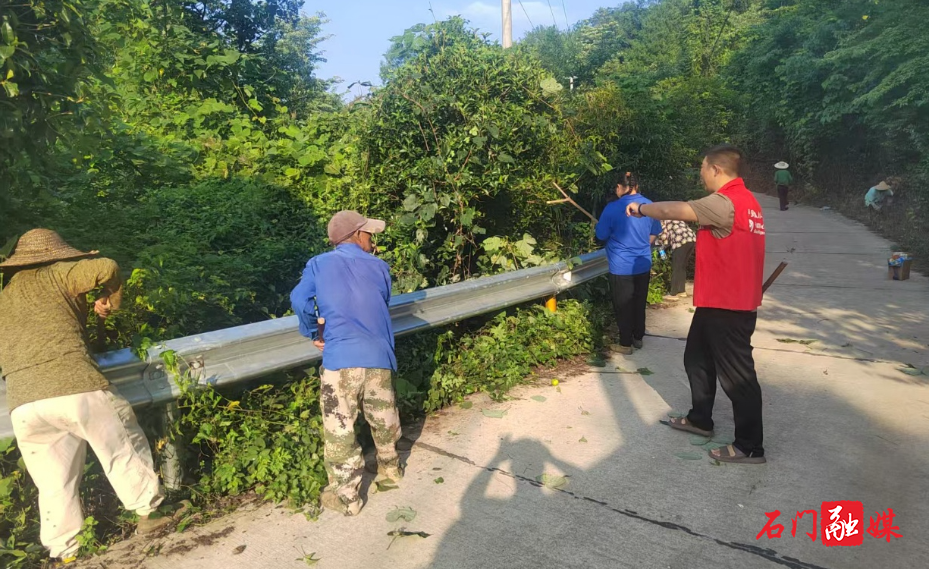 子良镇董家山村:干群携手 ,道路砍青保平安1.jpg 子良镇董家山村:干群携手 ,道路砍青保平安1.jpg