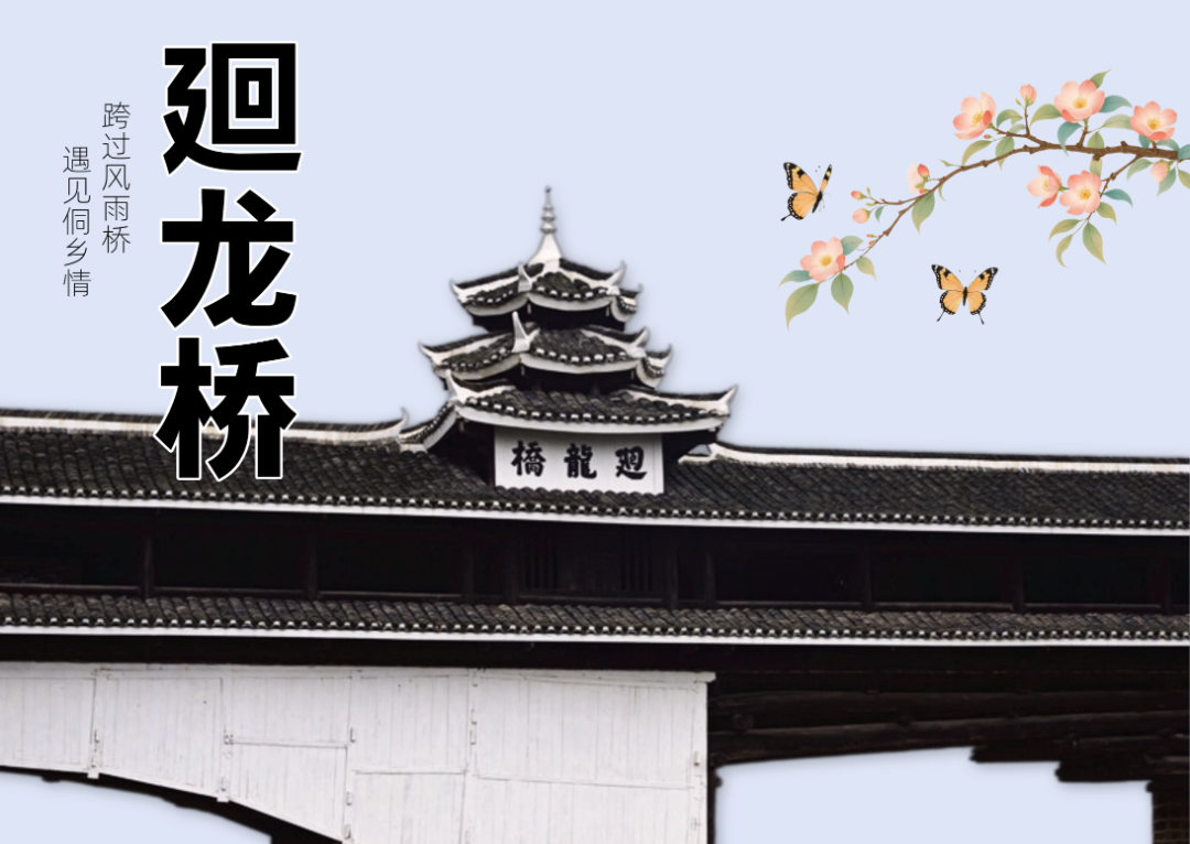 龙.png
