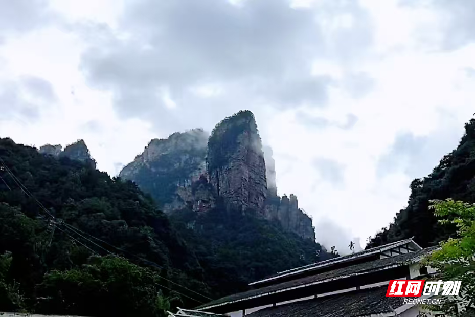 微信图片_2025-07-22_114820_648.jpg