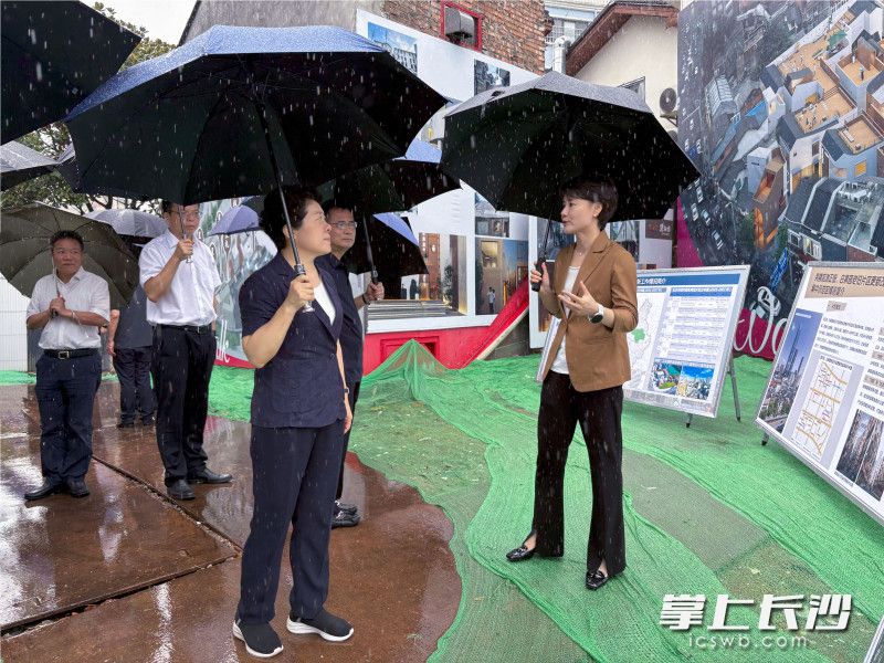 吴桂英在芙蓉区调研城市更新工作。 吴桂英在芙蓉区调研城市更新工作。