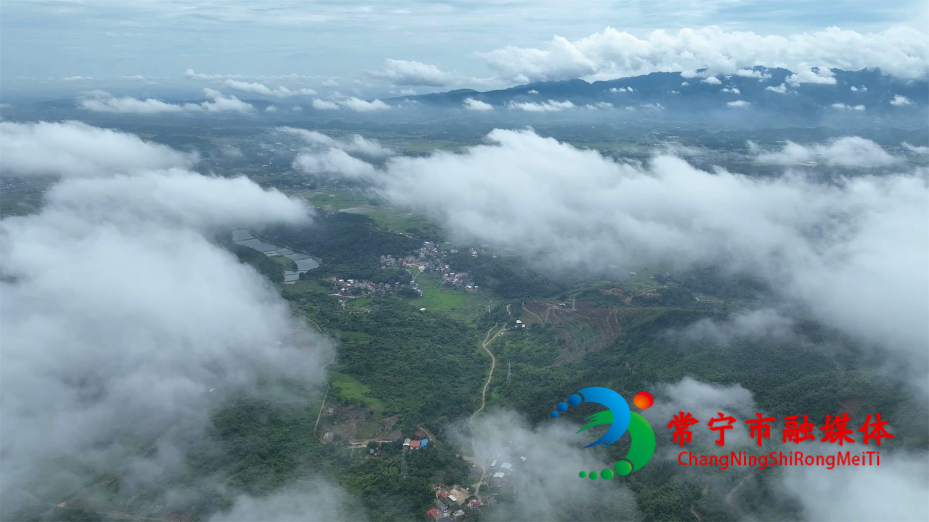 板桥美景.jpg