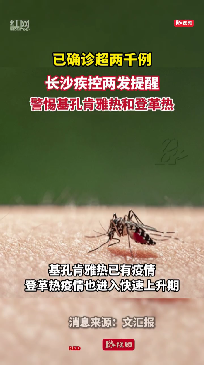 警惕基孔肯雅热和登革热