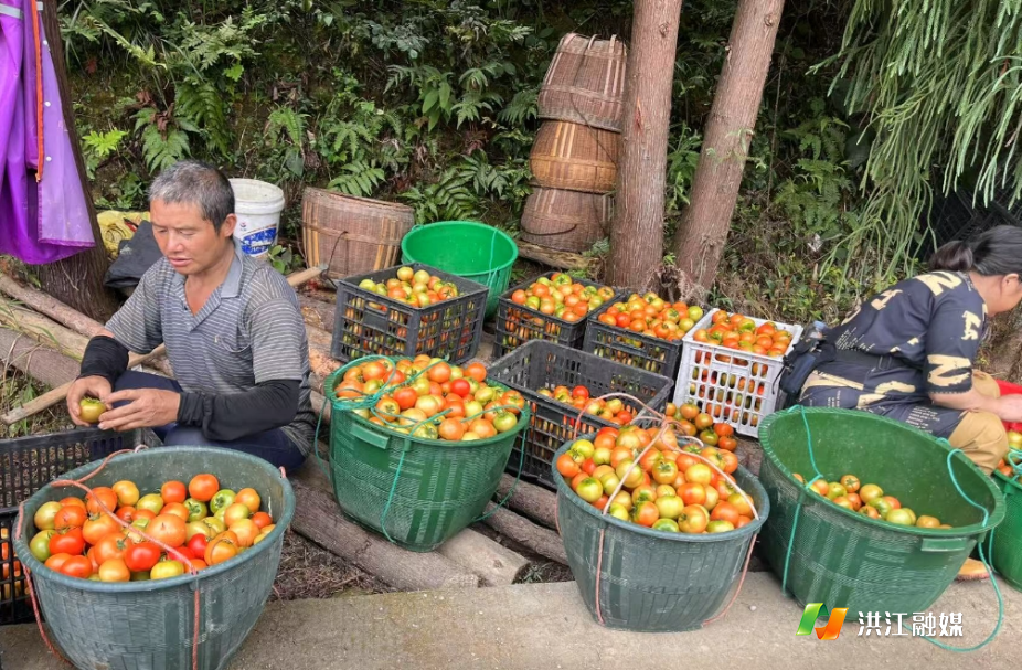微信截图_20250723101402.png