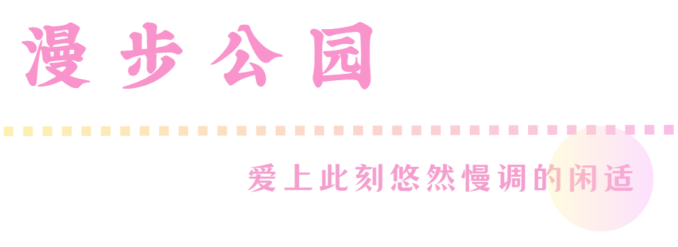 306e3c10495276d2e79300af74d0dae.png