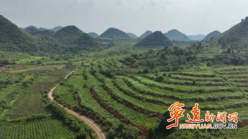 寧遠：恢復耕地 夯實糧食安全根基1_副本500.jpg
