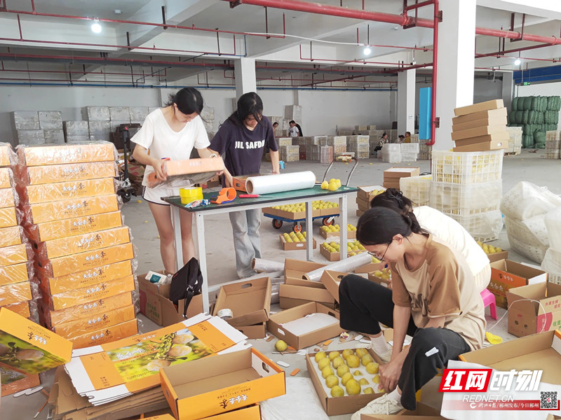 wm_90544772265228347_36524691-5916-410a-b207-009eaca1015c_副本.jpg