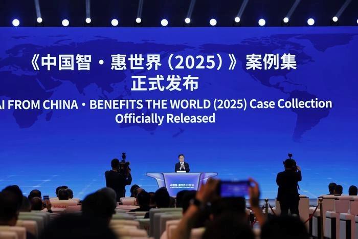 “中国智慧与福利世界（2025）”发表了案例收集
