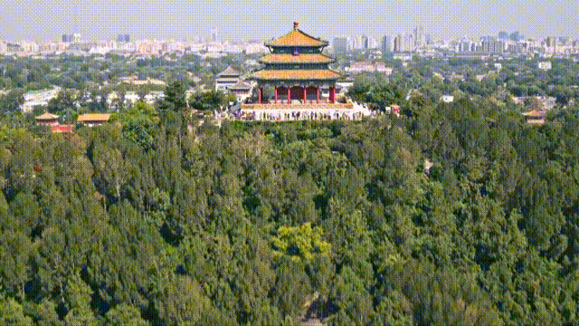 成功申请世界遗产的一周年！中国步行城的最佳
