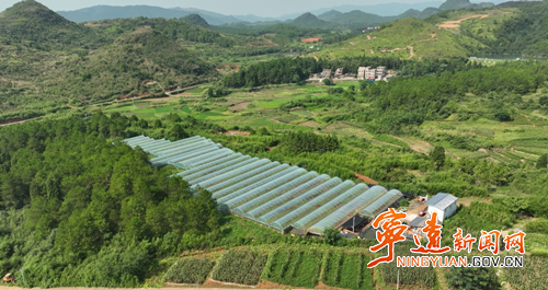 宁远：葡萄套袋管护忙 丰收在望果飘香3_副本500.png
