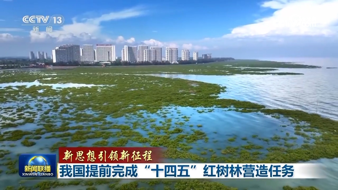 新的想法导致了新的旅程。