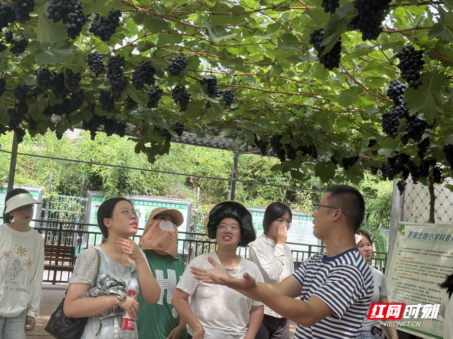 图片6.png