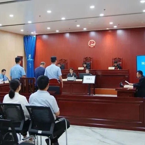 以案说法丨非法狩猎野生鸟类，获刑！