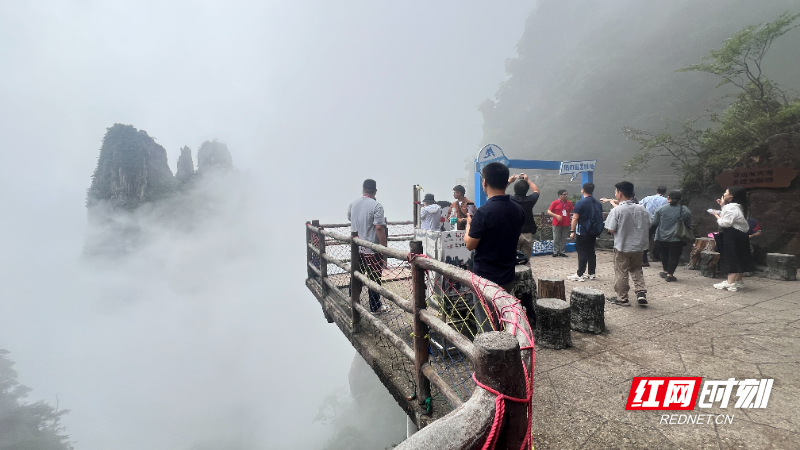 粤港澳大湾区媒体采风莽山“小而美”  被自然“圈粉”