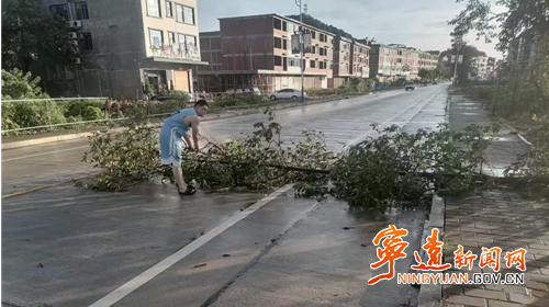 宁远禾亭镇：道路清障暖民生_副本500.png