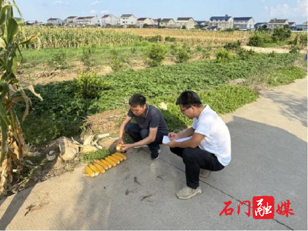 2永兴.jpg