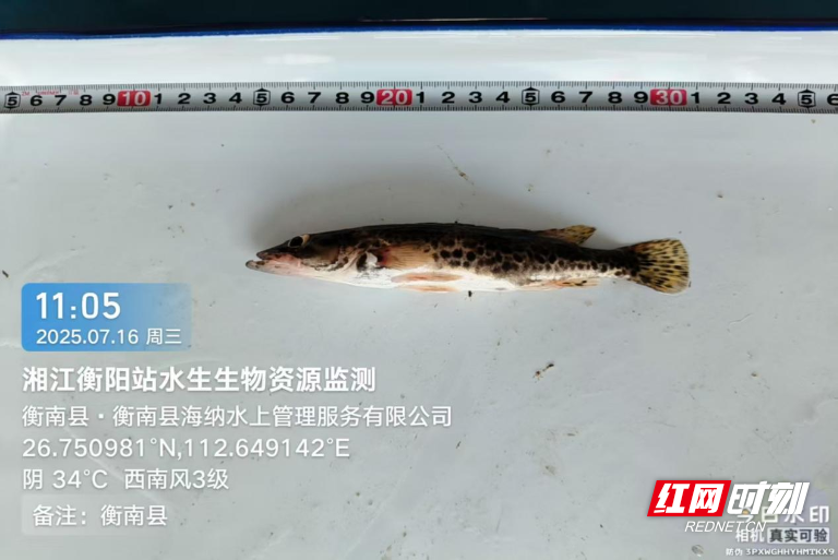 图片76.png