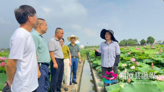 湘潭县科技服务团“湘莲团”一线616.png