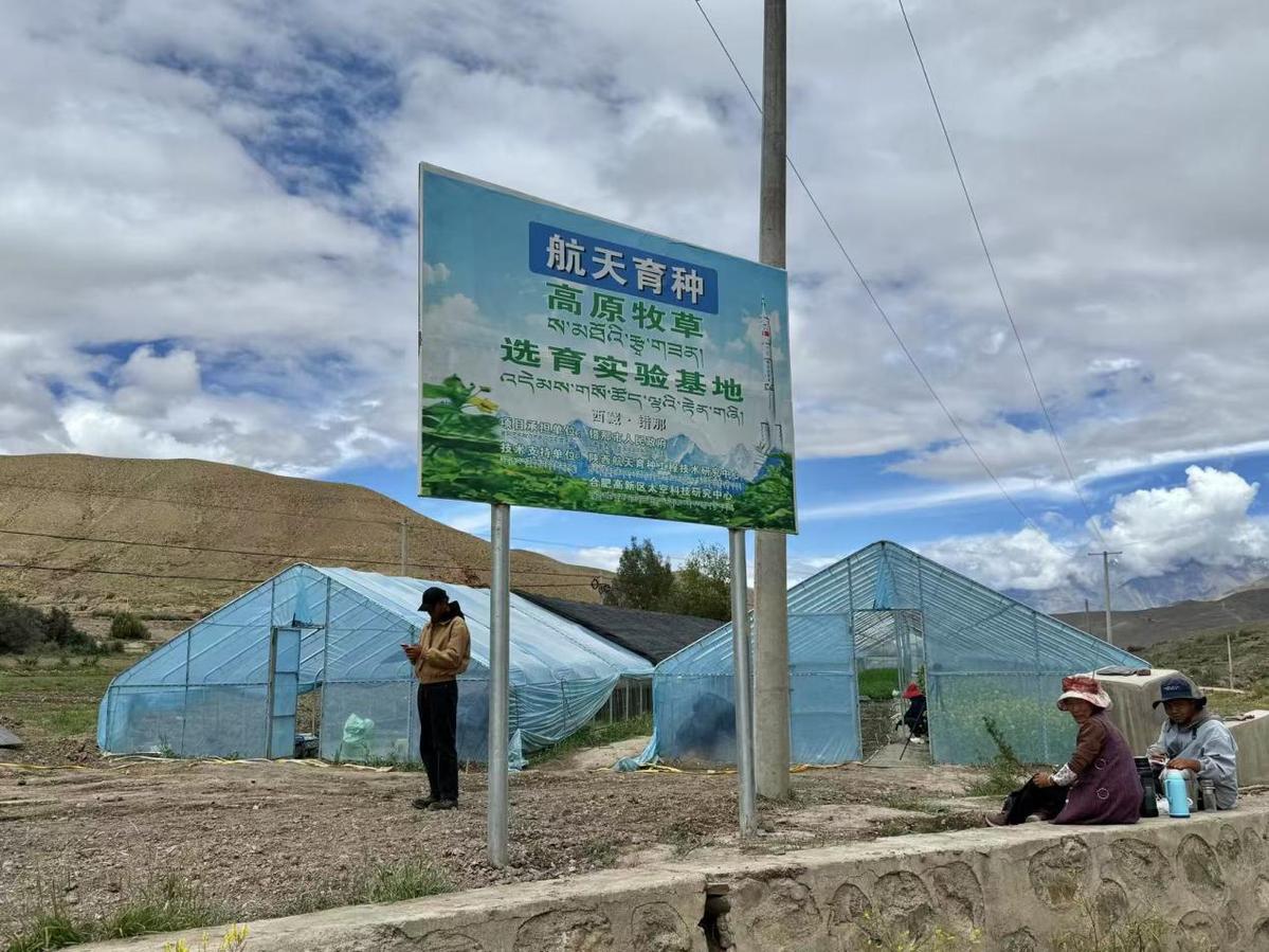 60年的光荣·我们的家| “上帝的种子”在西藏做