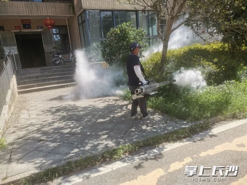 灭蚊现场。