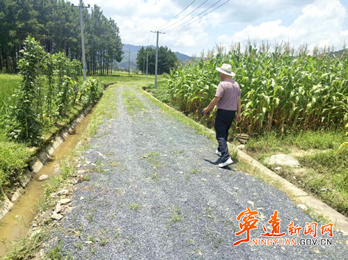 宁远清水桥镇：农机直达解民忧_副本500.jpg