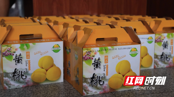 微信截图_20250728105516.png